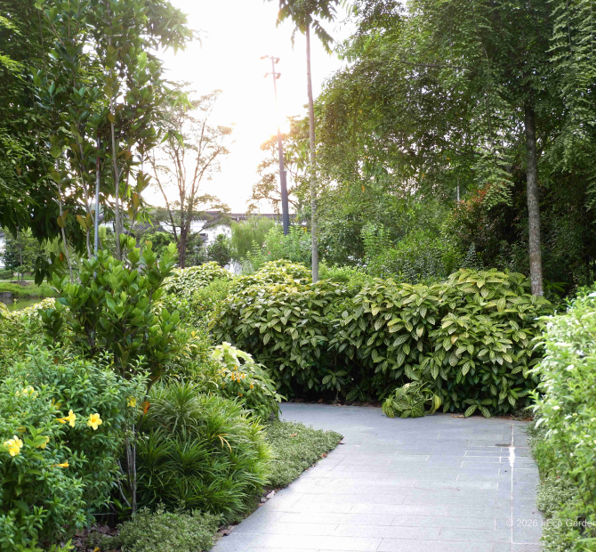 ecogarden-partner-eco-garden-01