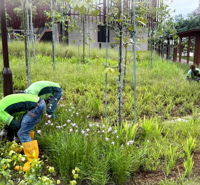 ecogarden-partner-eco-garden-03